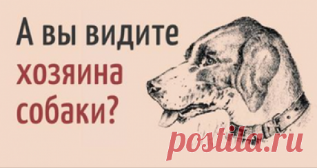 Шуточный тест-картинка «Лягушка богатства»