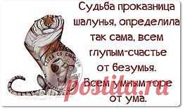 Обо всем