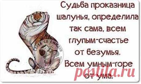 Обо всем