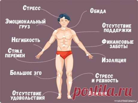 Что говорит нам наше тело - 12 важных сигналов