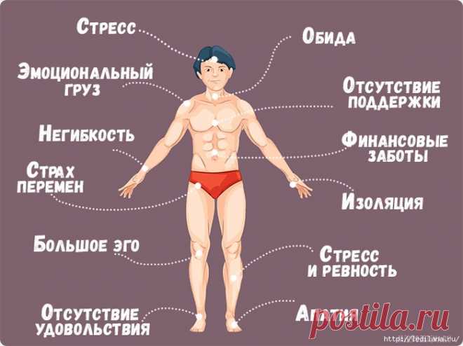 Что говорит нам наше тело - 12 важных сигналов