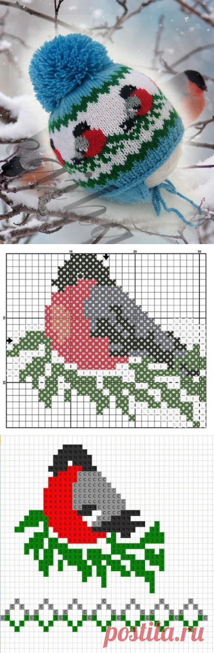 (3) Одноклассники