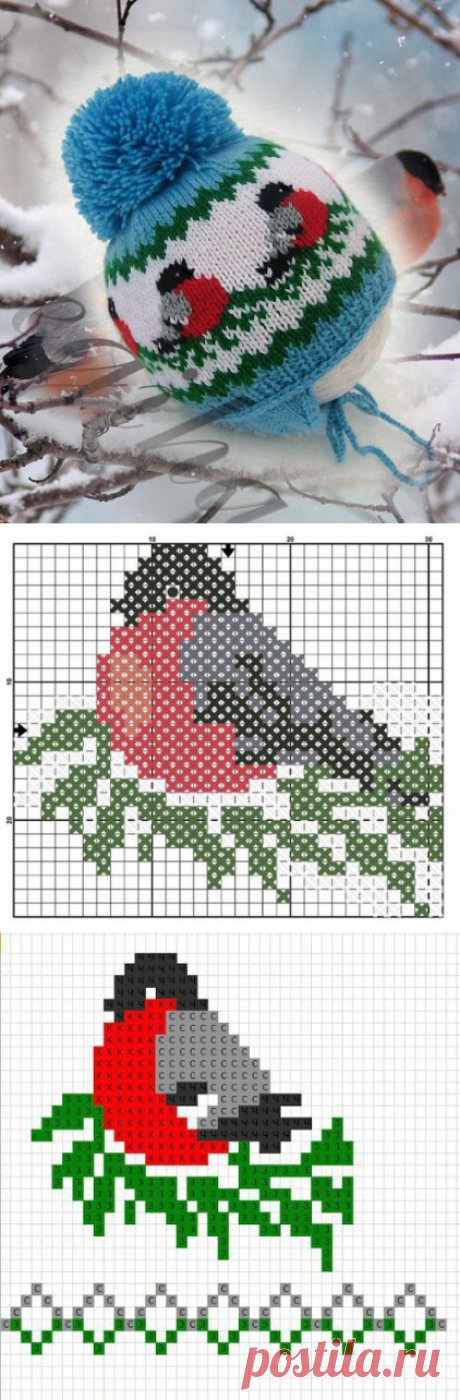 (3) Одноклассники