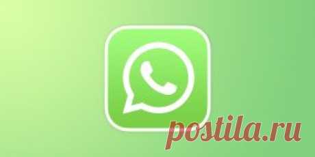 7 функций Whatsapp, о которых вы не знали - Лайфхакер