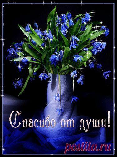 Белковый + овощи = Круиз диета д. Дюкана: : Дневники - diets.ru