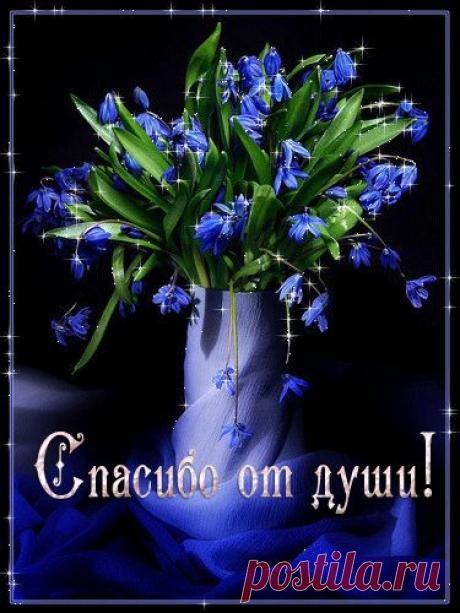 Белковый + овощи = Круиз диета д. Дюкана: : Дневники - diets.ru