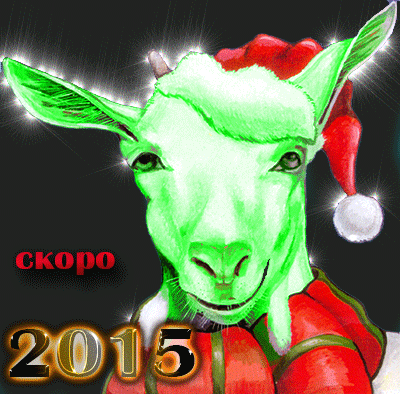 С Новым 2015