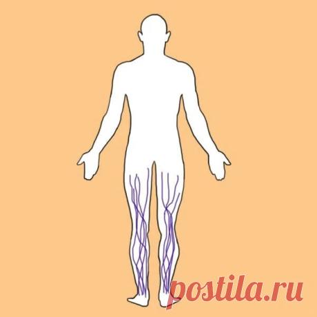 Тромбоз глубоких вен — 8 симптомов, которые нужно выучить наизусть