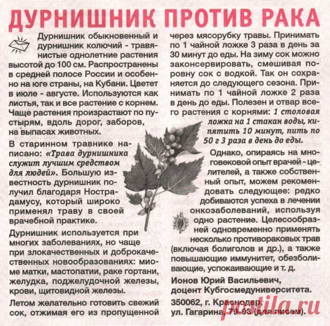 Дурнишник против рака