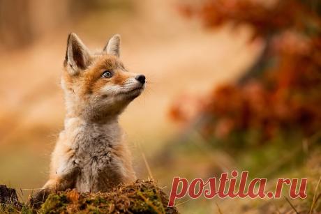 Мой Мир@Mail.Ru