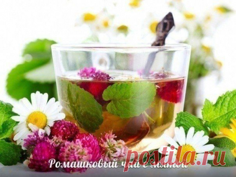 (+1) тема - 5 вкусных и полезных чайных напитков | Полезные советы