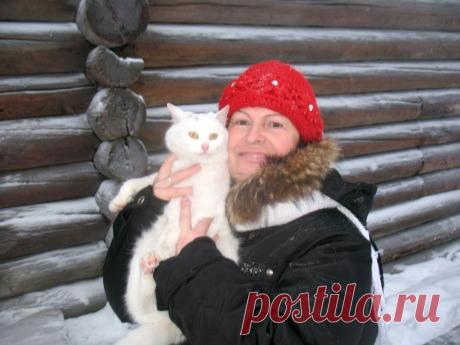 В Архангельске