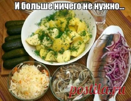Прикольные картинки (50 фото)