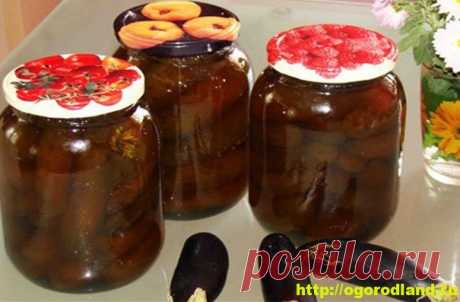 Рецепты из баклажанов на зиму. Консервирование баклажанов