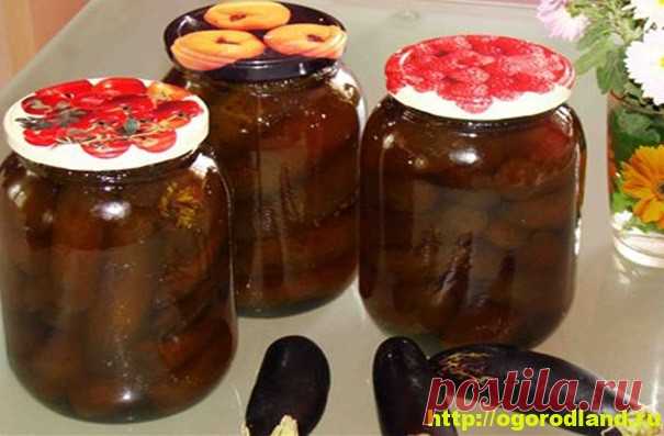 Рецепты из баклажанов на зиму. Консервирование баклажанов