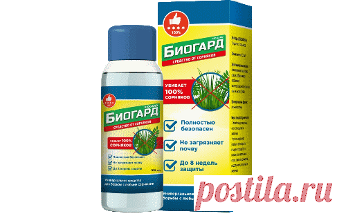 Мир здоровья