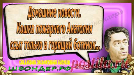 Новости от дядьки Швондера, классный анекдот, смешная фраза, веселая фенечка, смешной каламбур, известные афоризмы, смех да и только, забавные картинки, сложный юмор, непонятные анекдоты, цитаты из интернета, необычное развлечение, Швондер говорит, Шариков, Собачье сердце, улыбка до ушей, эксклюзивный выпуск новостей, ржака, потеха, фарс, наколка, проделка, шутка, юмор, анекдоты в картинках, юмор в картинках, свежие приколы, фенечка, смешная фишка, улыбка, ржачка, интересное в сети, смешок, смех