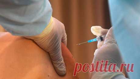 В Газе за время конфликта снизился охват вакцинацией детей от полиомиелита. В секторе Газа за время конфликта резко снизился охват вакцинацией детей от полиомиелита. Об этом сообщает ТАСС со ссылкой на генерального директора Всемирной организации здравоохранения (ВОЗ) Тедроса Аданома Гебрейесуса. По его словам, ...