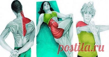 Упражнения, выравнивающие асимметрию тела: Статическая растяжка Читать далее...