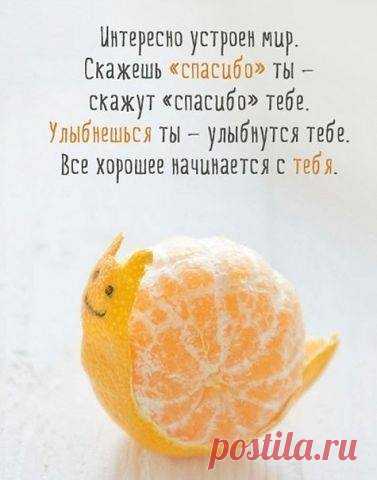 Начни цепочку хороших событий!