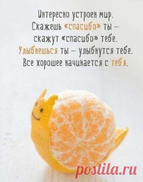 Начни цепочку хороших событий!