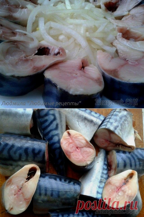 Очень вкусная скумбрия пряного посола.