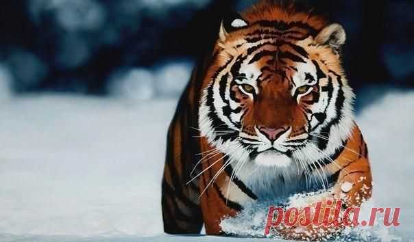 Не сдавайся, даже когда совсем тяжело! / Богатая добыча