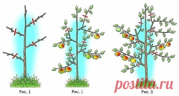 Одноклассники
