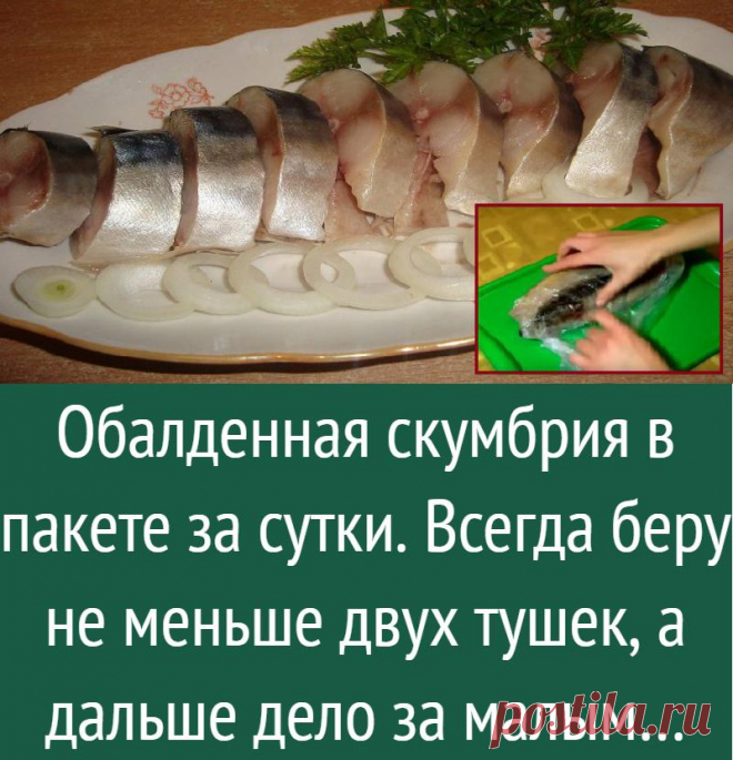 Обалденная скумбрия в пакете за сутки. Всегда беру не меньше двух тушек, а дальше дело за малым…