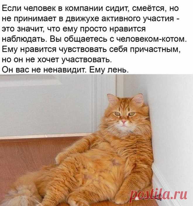 ,
