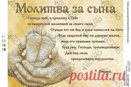 (1) Одноклассники
