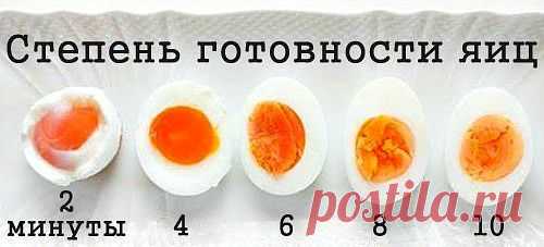 Своими руками Степень готовности яиц