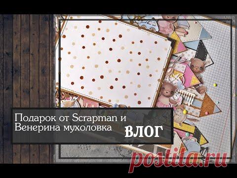 Подарок от Scrapman и Венерина мухоловка\ ВЛОГ/скрапбукинг
