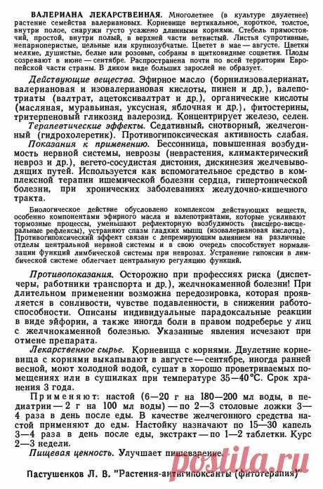 Валериана лекарственная