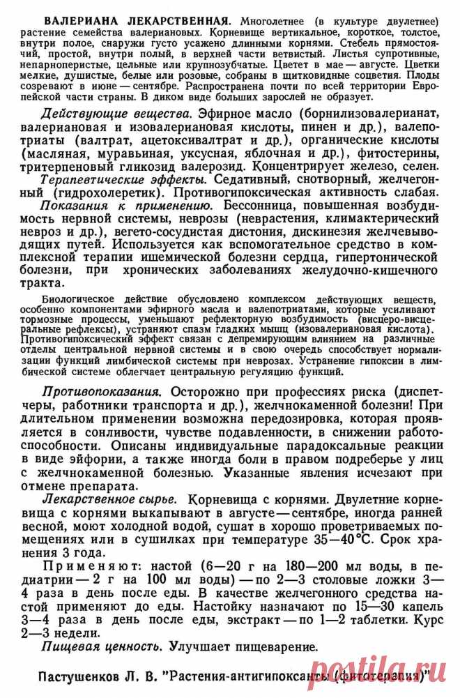 Валериана лекарственная