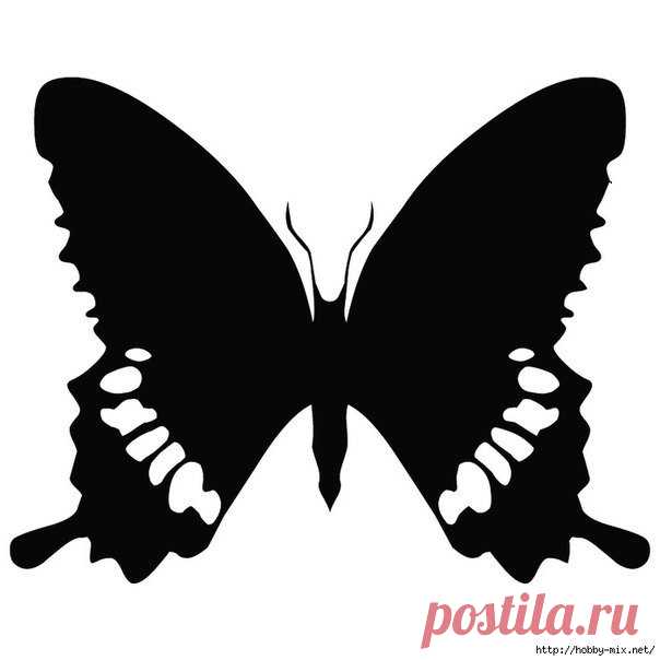 Трафареты. Красивые бабочки.