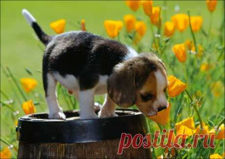 Мой Мир@Mail.Ru
