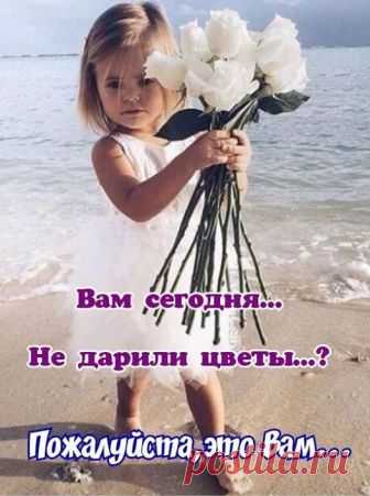 (42) Елена Сотникова