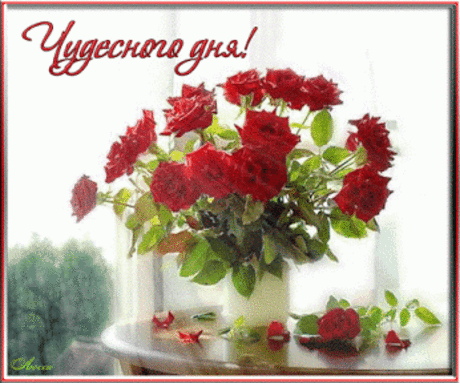 Живые фотографии – Сообщество – Google+