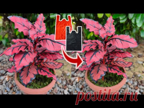 Как сделать Miana Flower из полиэтиленового пакета | цветы поделки