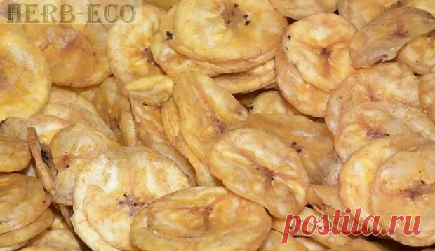 Бананы - польза и вкусные рецепты
Органические банановые чипсы в iHerb
http://www.herb-eco.ru/2015/03/banany-polza-i-recepty.html
В мякоти плодов банана содержится много сахарозы, витаминов С, В1, В2, РР, Е, каротина, ферментов, микроэлементов (особенно калия), имеются органические кислоты (преобладает яблочная), клетчатка, эфирное масло, крахмал.