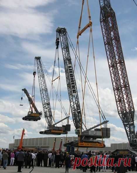 Кран, который поднял кран, который поднял кран, который поднял кран!