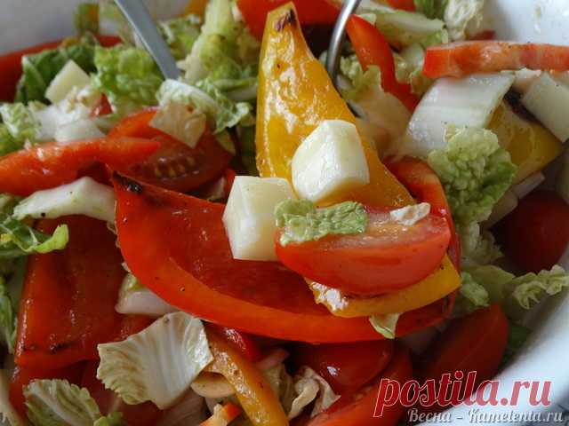 Тёплый салат с болгарским перцем и сыром сулугуни