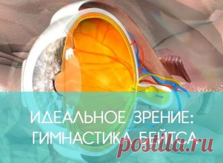 Комплекс упражнений глазной гимнастики Бейтса.