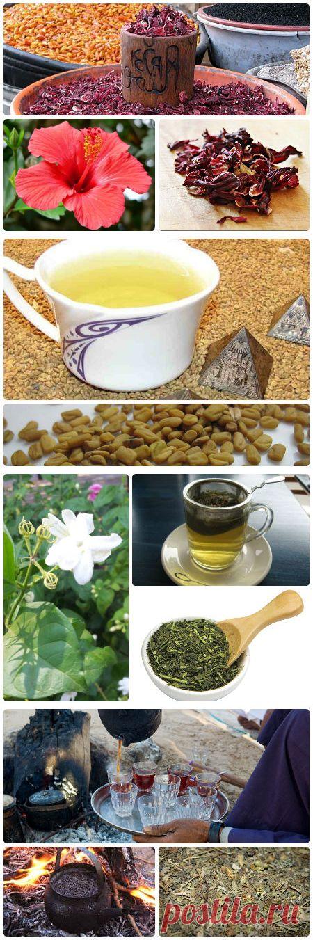 Египетский чай - Каркаде, Желтый чай (хельба), Зеленый чай и Бедуиский чай (хабак)