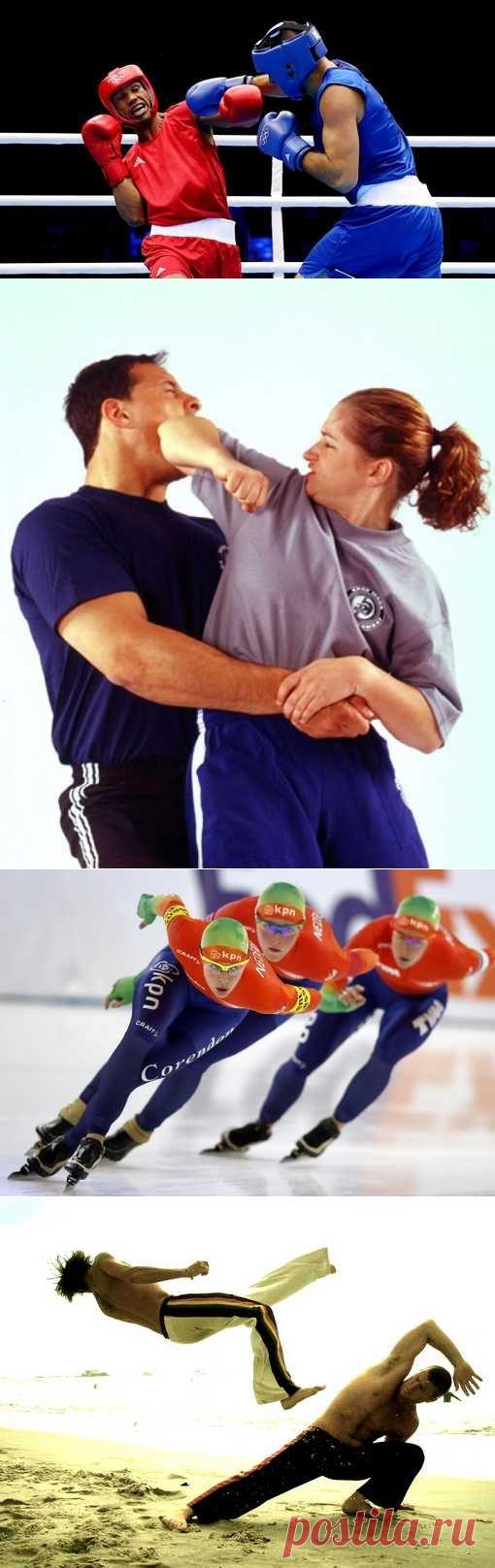 Арбалетный спорт, Маунтинбайк, Микс-файт М1, Голбол. (1/1) - Спортивный форум. - Спортивный сайт