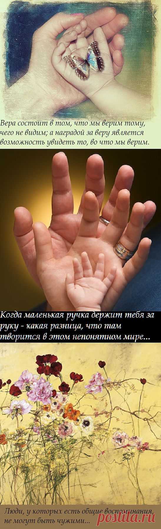 Ценности | OWL Блюз