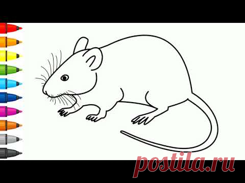 Как нарисовать крысу - Рисование, раскраска