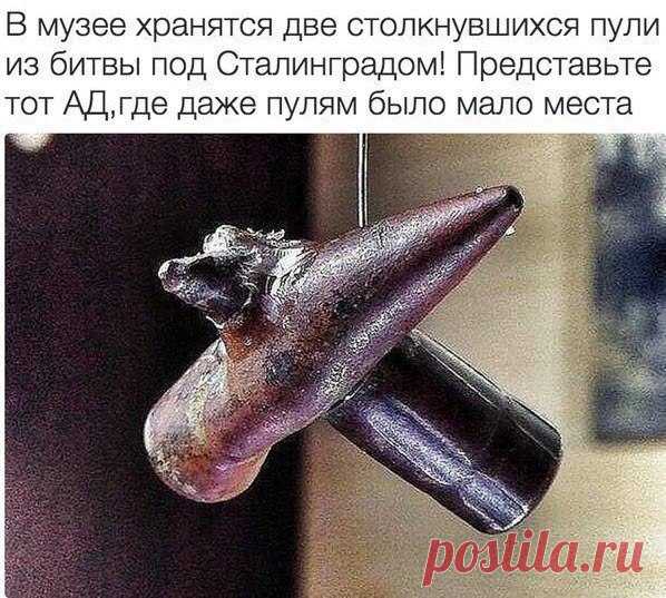 Новости
