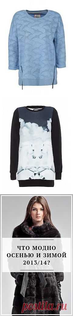 Looksima. ТРЕНДЫ Шесть ярких свитшотов этой зимы